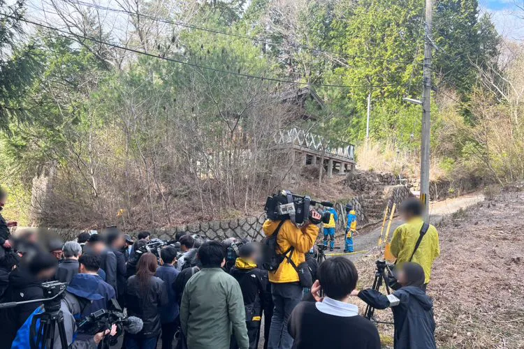 自宅裏山の様子