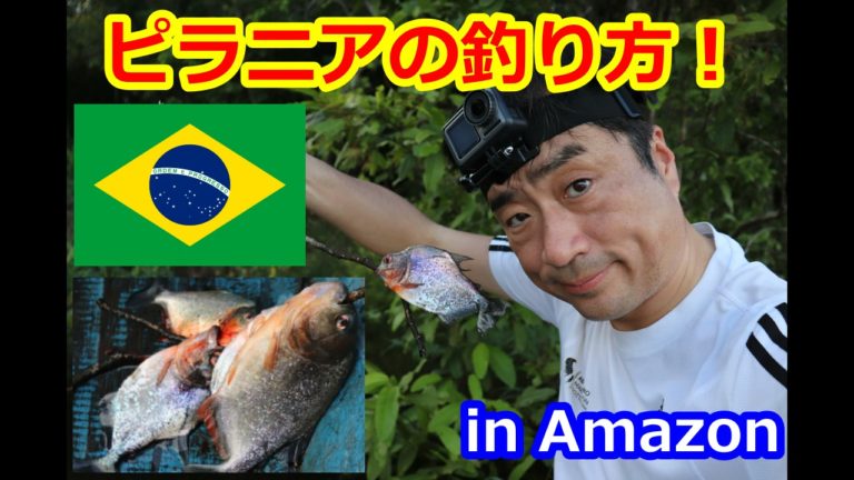 ピラニアの釣り方 In Amazon Brasil 地球の国全部行く